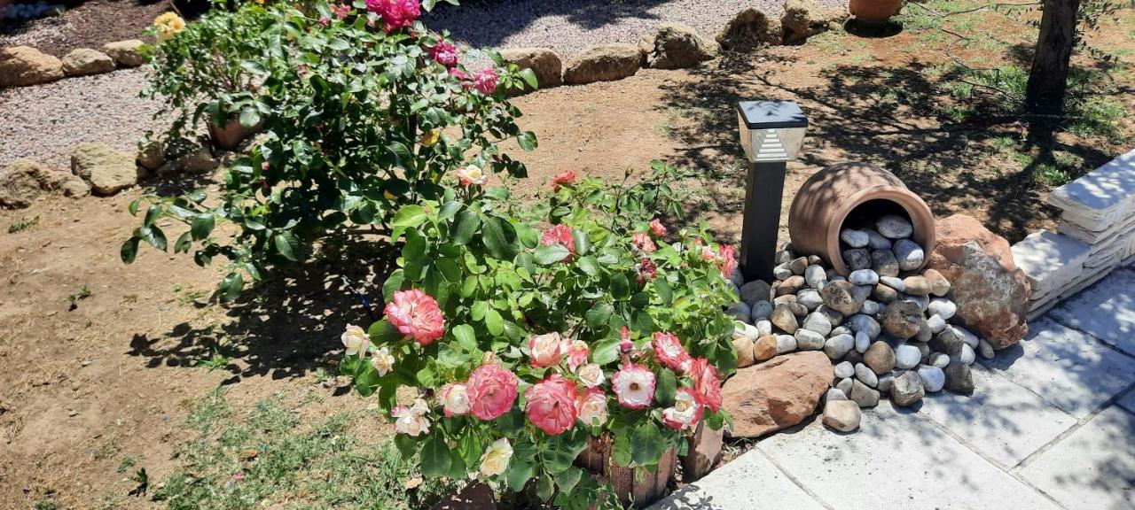 Fenetre Sur Les Alpilles Bed & Breakfast Saint-Martin-de-Crau Eksteriør bilde