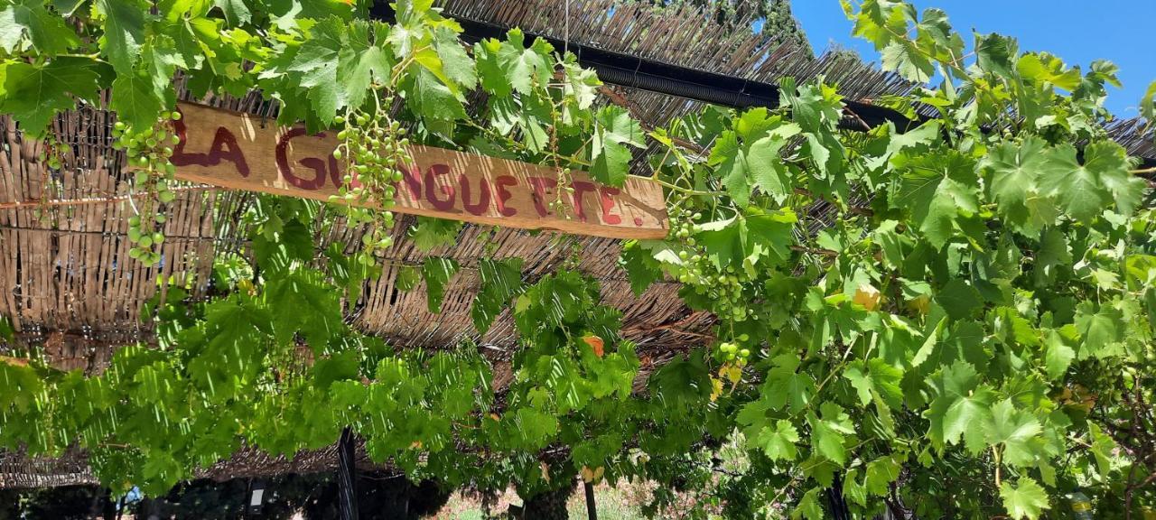 Fenetre Sur Les Alpilles Bed & Breakfast Saint-Martin-de-Crau Eksteriør bilde