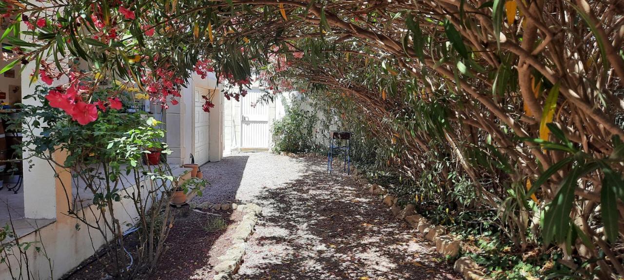 Fenetre Sur Les Alpilles Bed & Breakfast Saint-Martin-de-Crau Eksteriør bilde