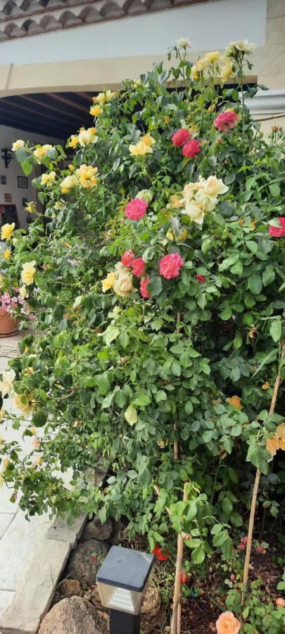 Fenetre Sur Les Alpilles Bed & Breakfast Saint-Martin-de-Crau Eksteriør bilde