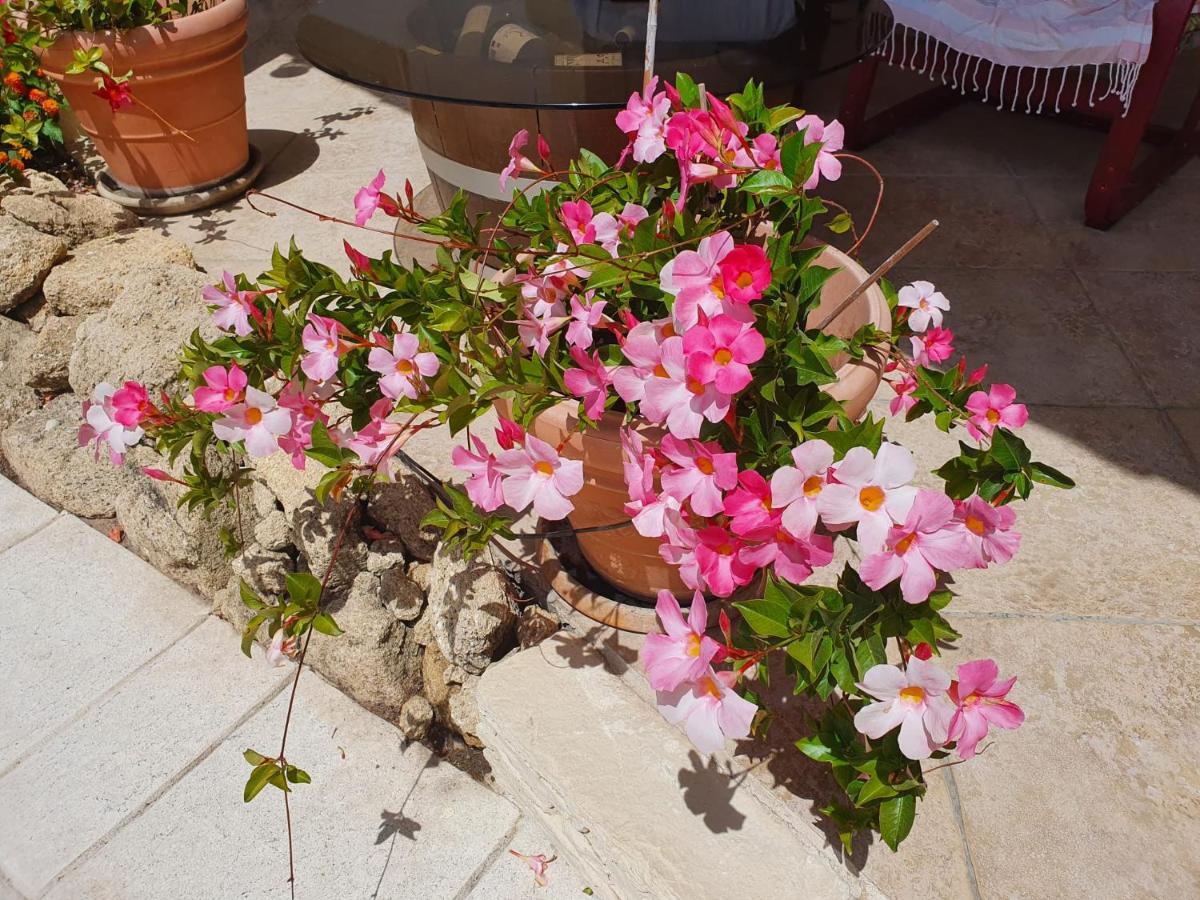Fenetre Sur Les Alpilles Bed & Breakfast Saint-Martin-de-Crau Eksteriør bilde